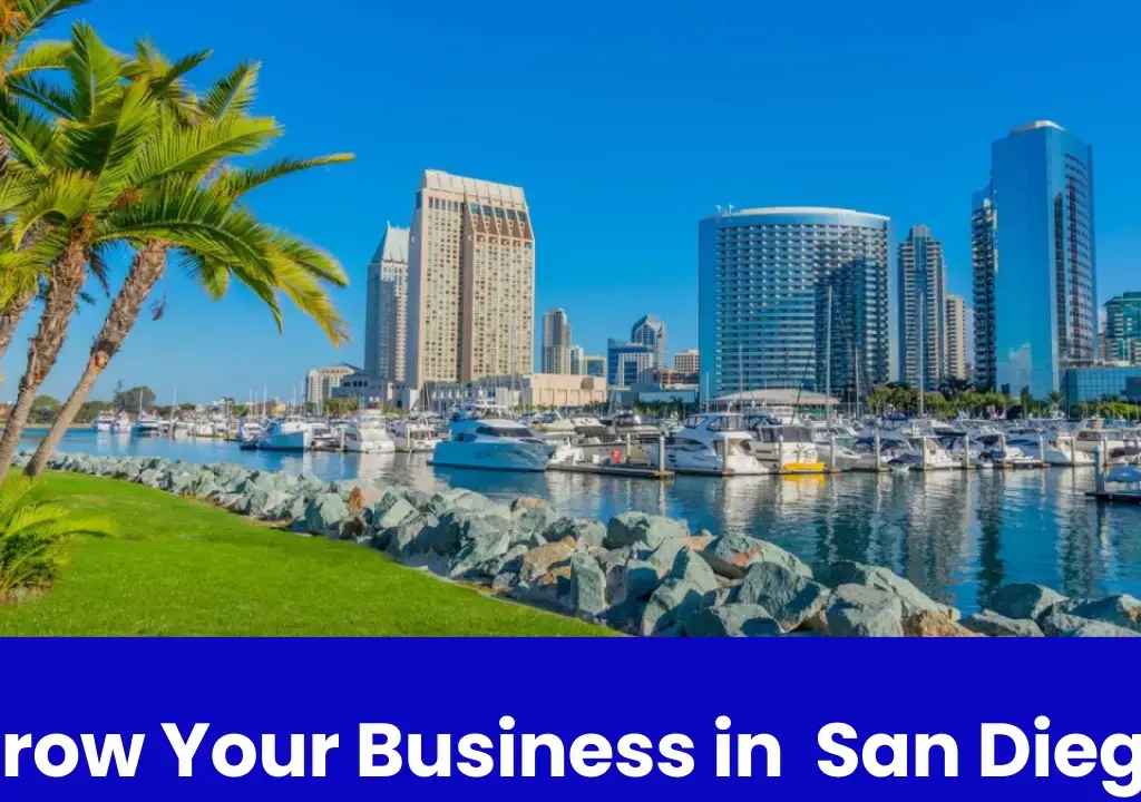 Boost Your Business's Visibility with Local SEO Services in San Diego